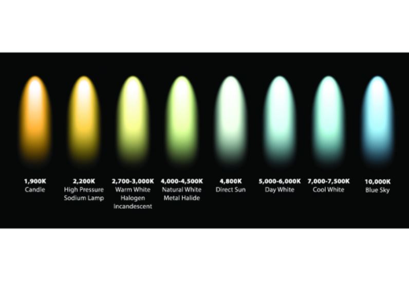 thông số kỹ thuật quan trọng của đèn LED